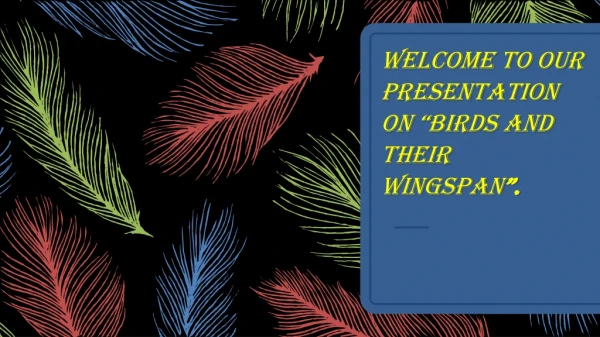 Welcome to our presentation on “Birds and their wingspan ”.