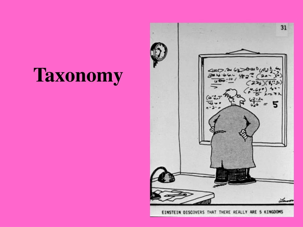 taxonomy