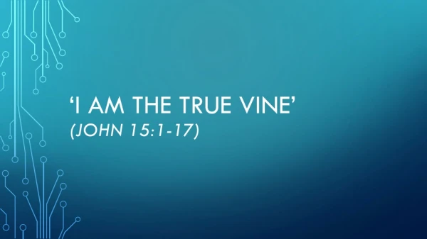 ‘I am the true vine’ (John 15:1-17)