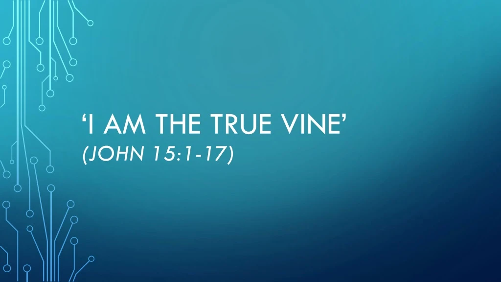 i am the true vine john 15 1 17