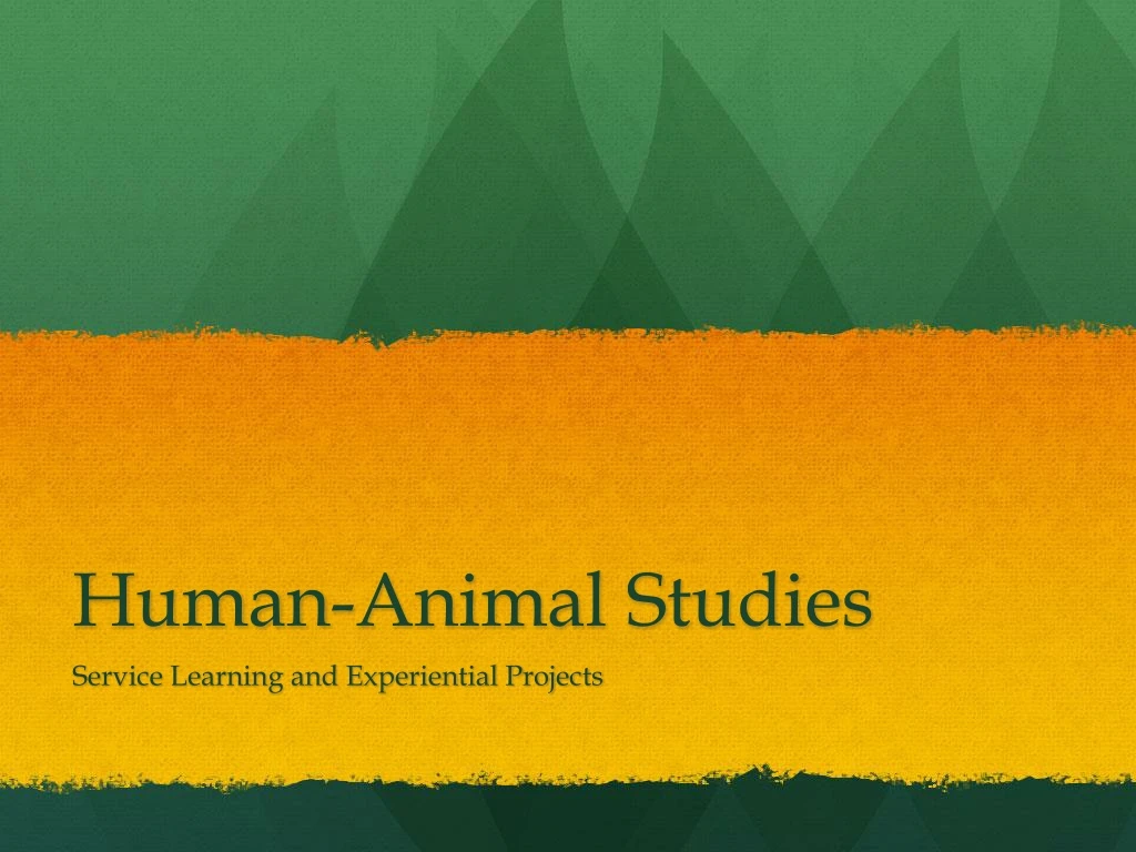 human animal studies