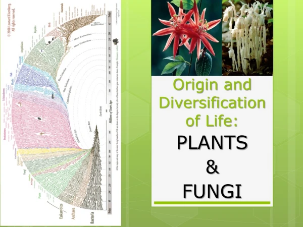 Origin and Diversification of Life: