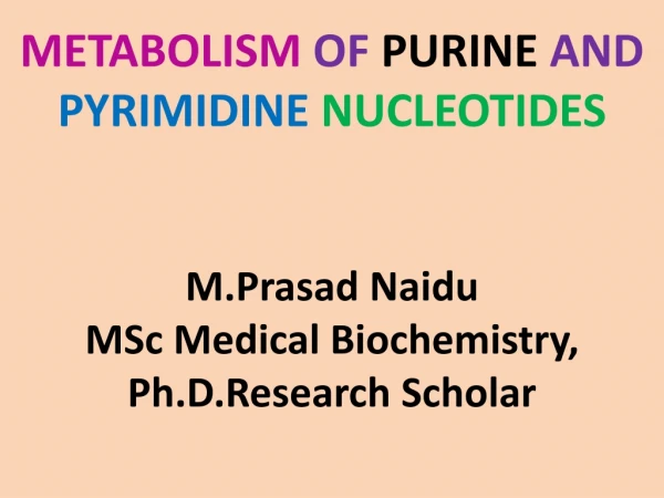 Biosynthesis of purine nucleotides:
