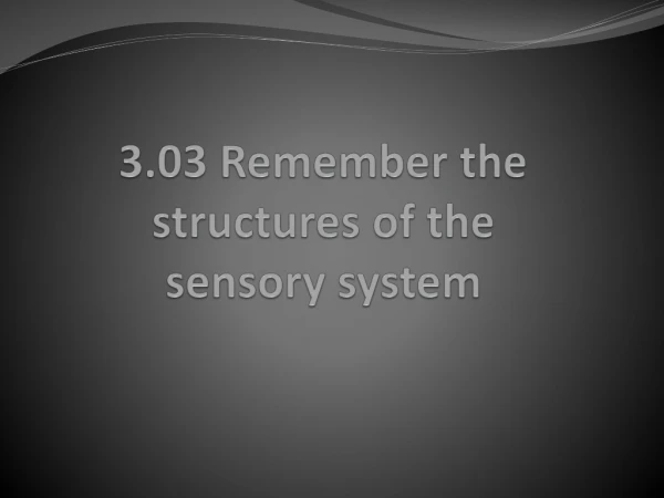 3.03 Remember the structures of the sensory system