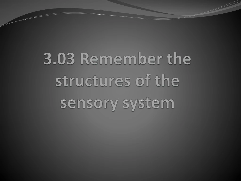 3 03 remember the structures of the sensory system