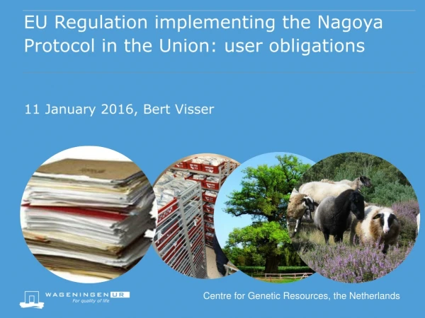 EU Regulation implementing the Nagoya Protocol in the Union: user obligations