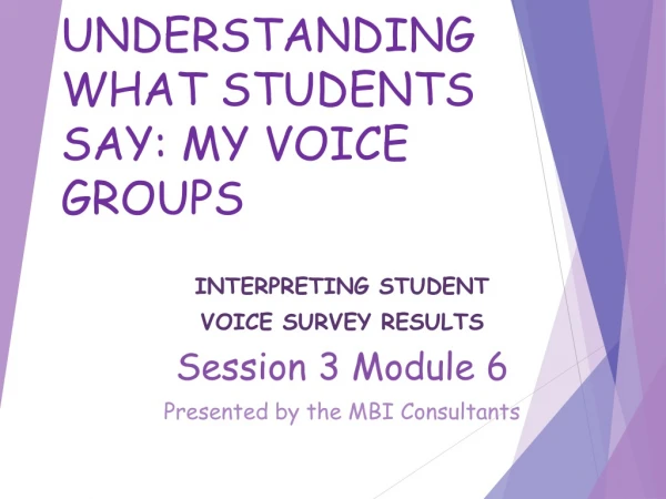 UNDERSTANDING WHAT STUDENTS SAY: MY VOICE GROUPS