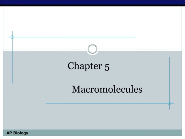 Chapter 5 		Macromolecules