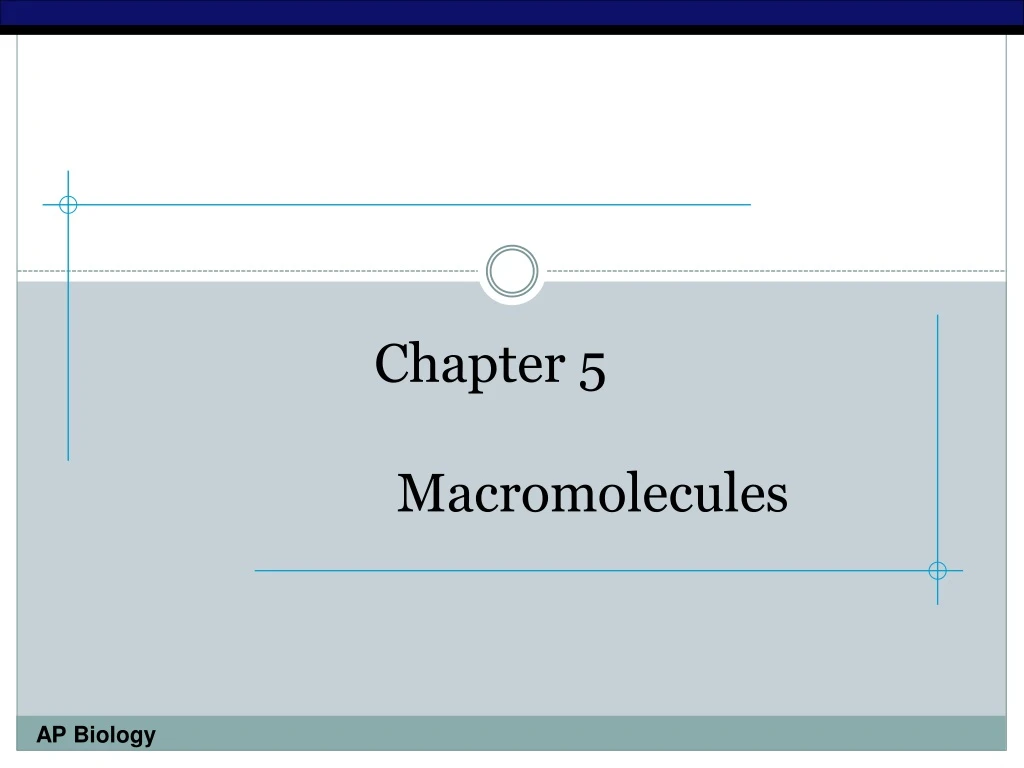 chapter 5 macromolecules