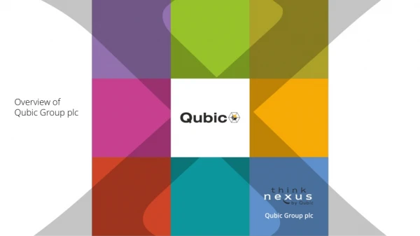 Overview of Qubic Group plc