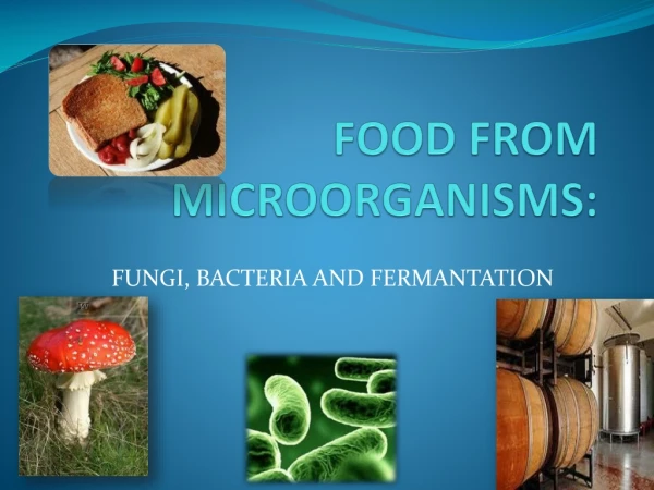 FOOD FROM MICROORGANISMS:
