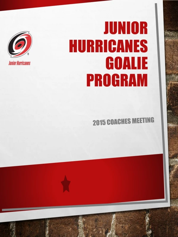 Junior Hurricanes Goalie program