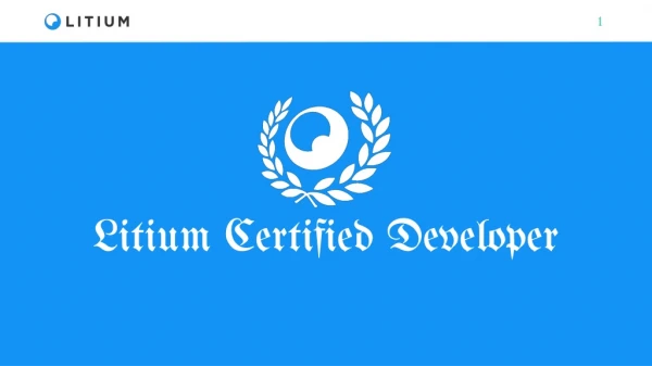 Litium Certified Developer