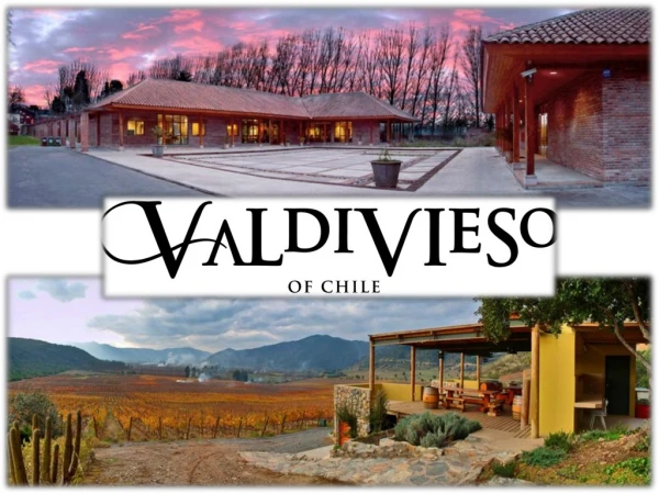 Valdivieso Winery - Main facts -