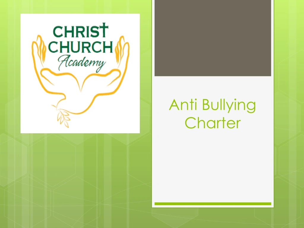 anti bullying charter