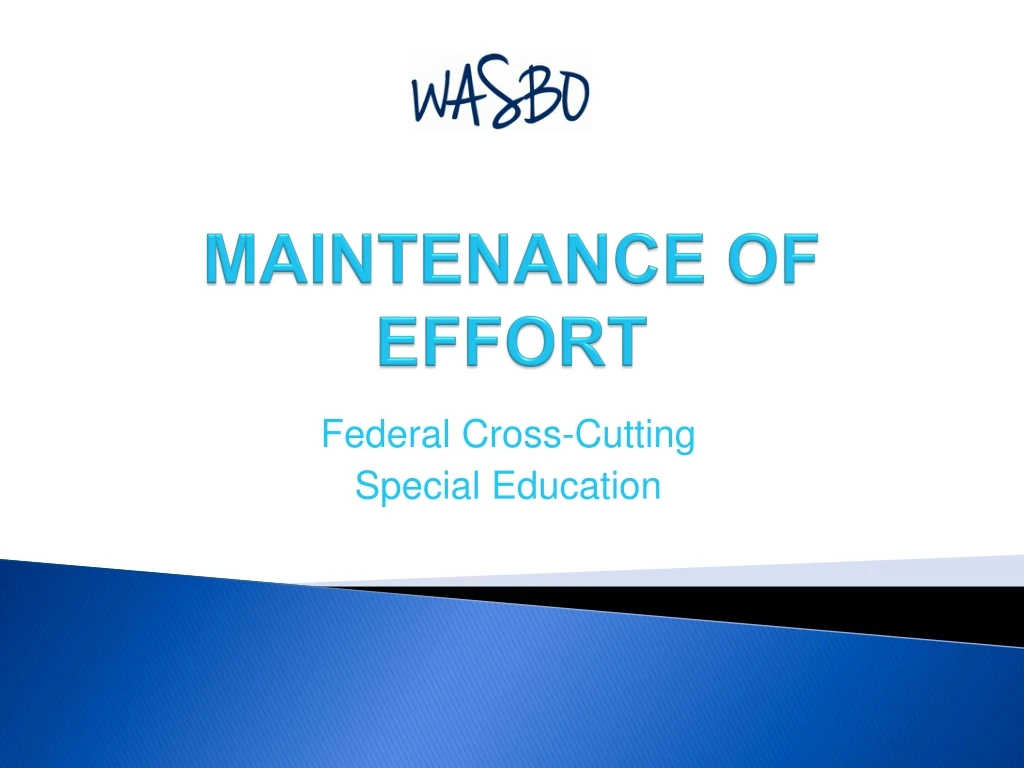 maintenance of effort