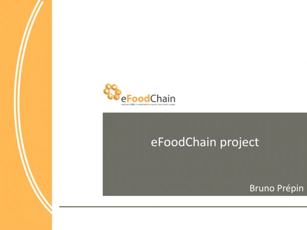 eFoodChain project