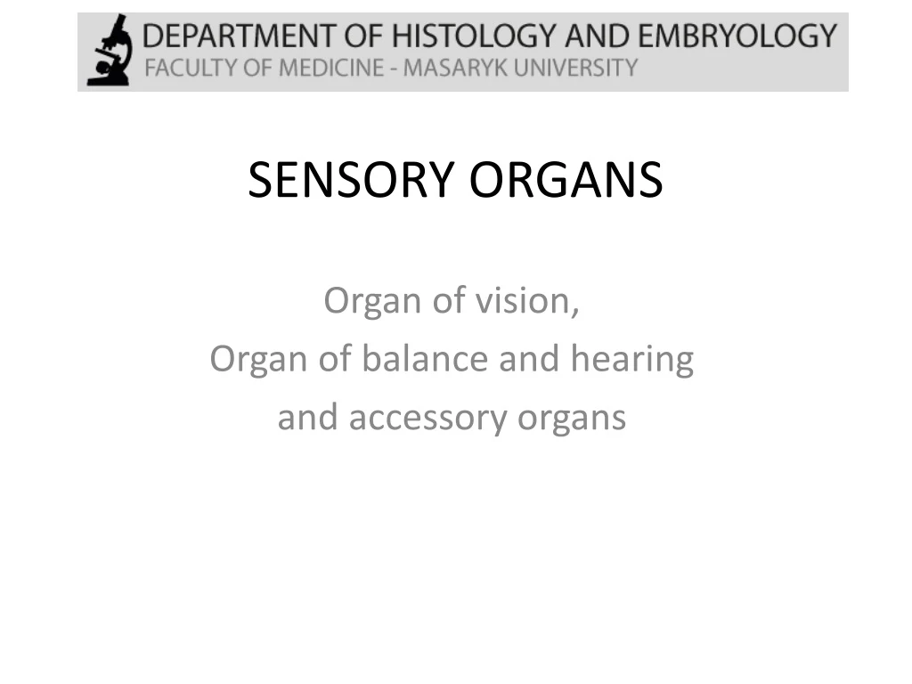 sensory organs