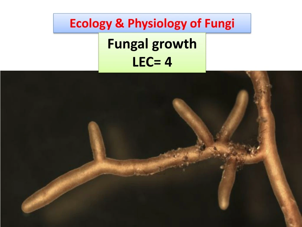 ecology physiology of fungi