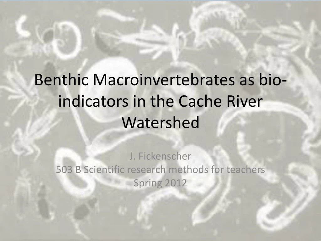 benthic macroinvertebrates as bio indicators in the cache river watershed