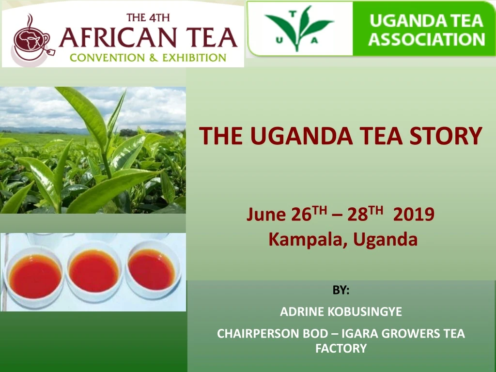 the uganda tea story june 26 th 28 th 2019