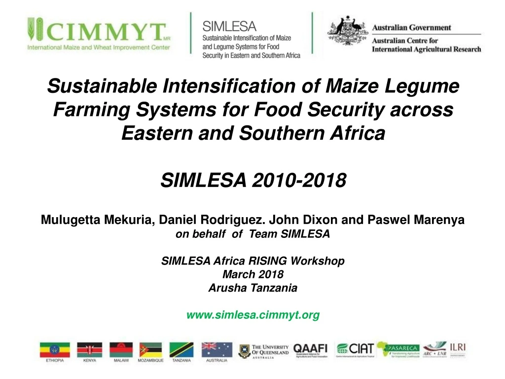 sustainable intensification of maize legume