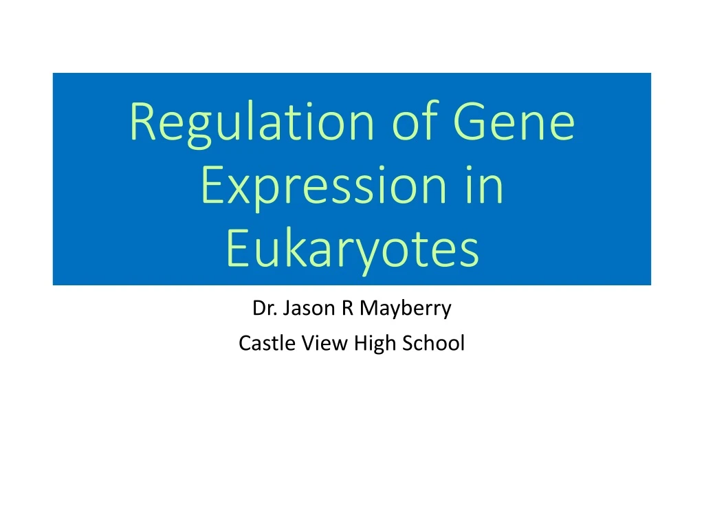 Ppt Regulation Of Gene Expression In Eukaryotes Powerpoint