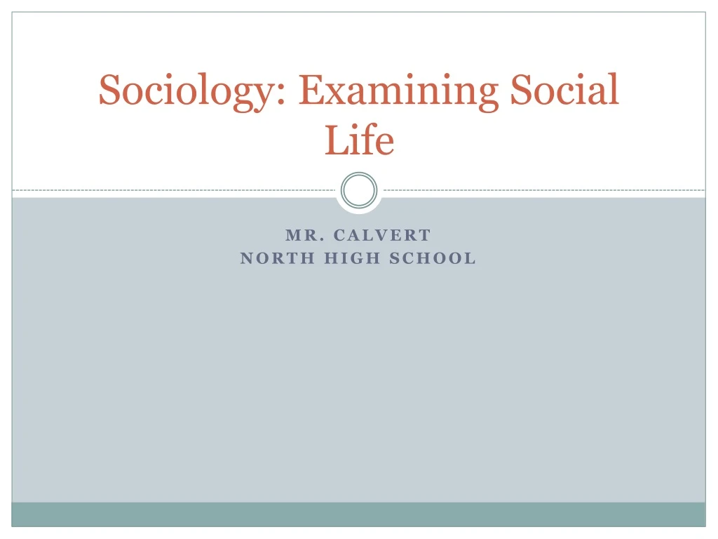 sociology examining social life