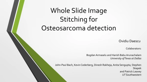 Whole Slide Image Stitching for Osteosarcoma detection