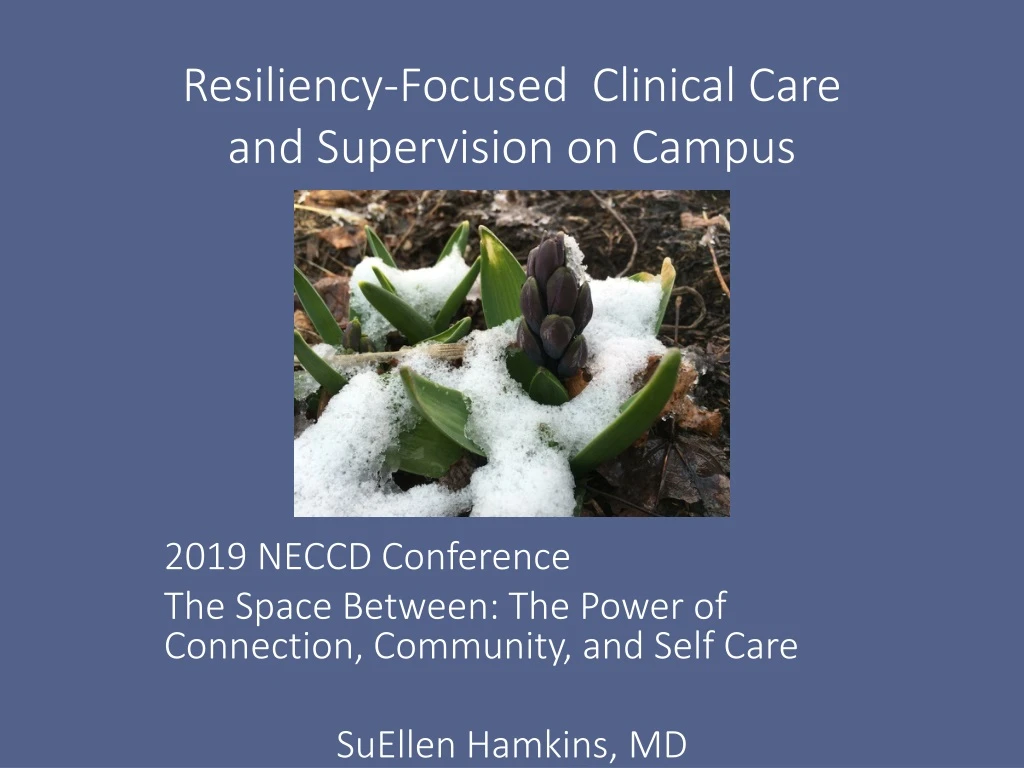resiliency focused clinical care and supervision on campus