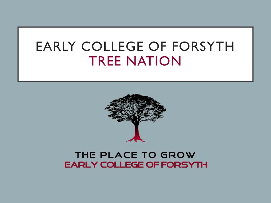 early college of forsyth tree nation