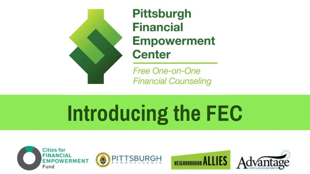 introducing the fec