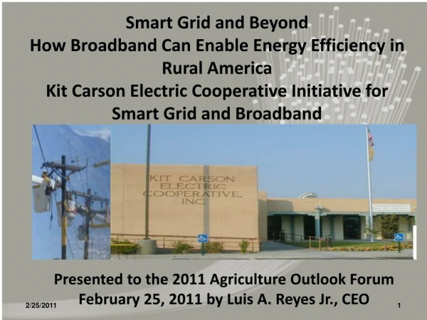 Presented to the 2011 Agriculture Outlook Forum February 25, 2011 by Luis A. Reyes Jr., CEO