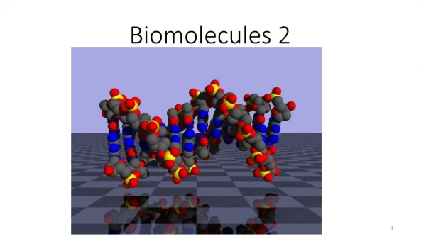 Biomolecules 2