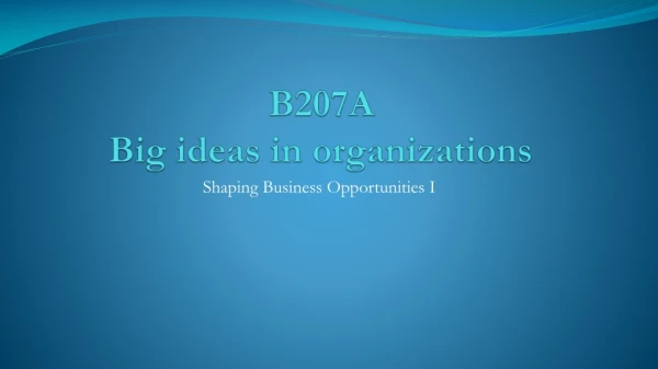 B207A Big ideas in organizations