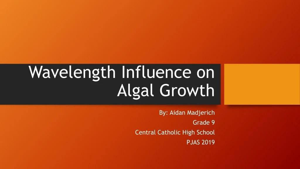wavelength influence on algal growth