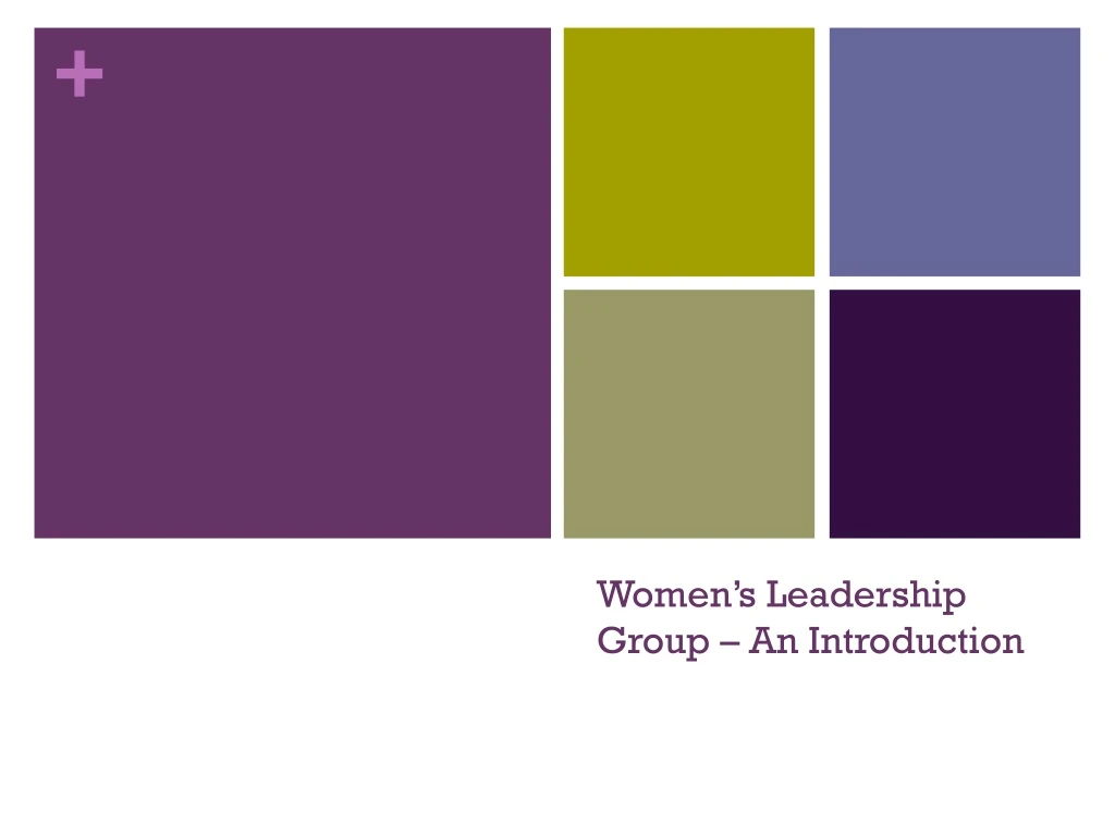 women s leadership group an introduction