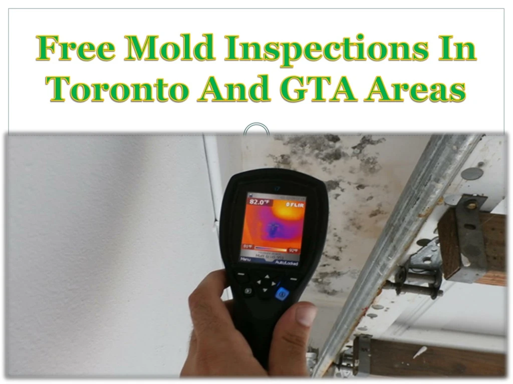 free mold inspections in toronto and gta areas