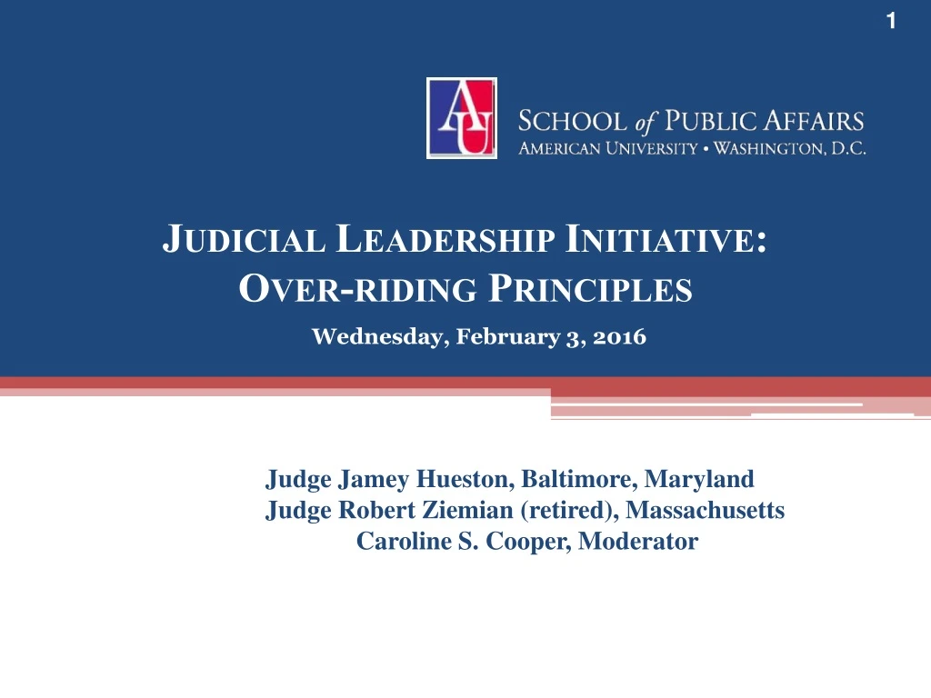 judicial leadership initiative over riding principles