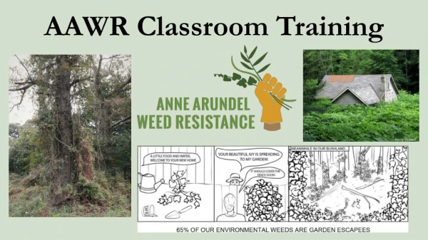 AAWR Classroom Training