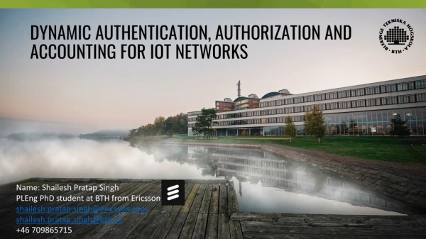 Dynamic Authentication, Authorization and Accounting for IoT Networks