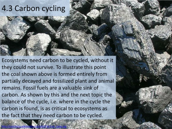 4 .3 Carbon cycling