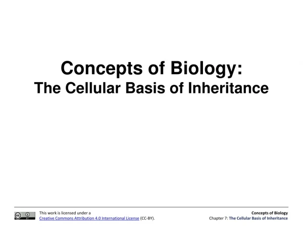 Concepts of Biology: The Cellular Basis of Inheritance