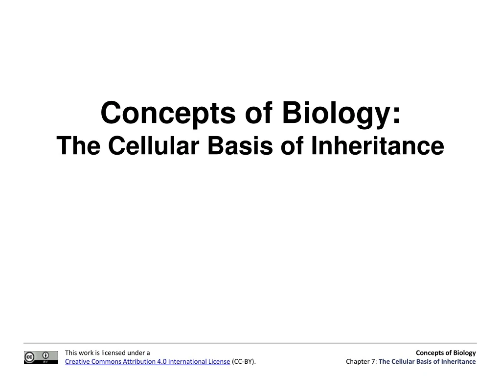 concepts of biology the cellular basis