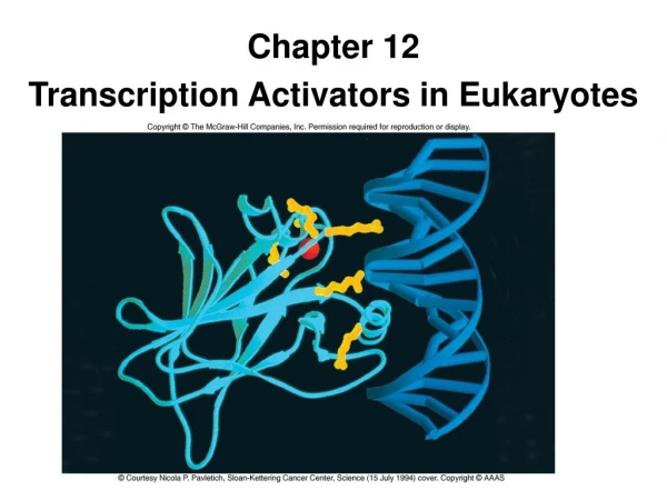 Chapter 12 Transcription Activators in Eukaryotes