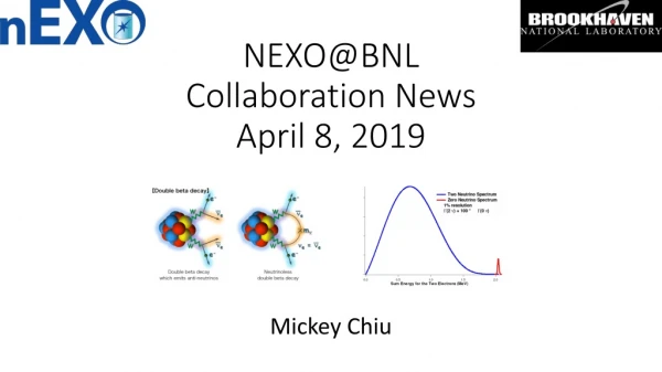 NEXO@BNL Collaboration News April 8, 2019