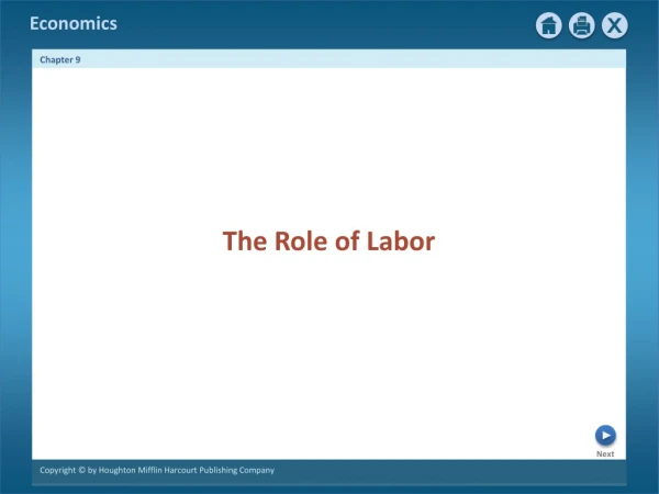 The Role of Labor