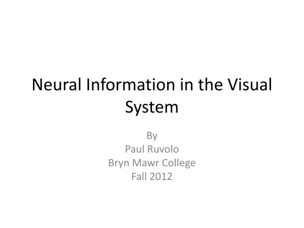 Neural Information in the Visual System