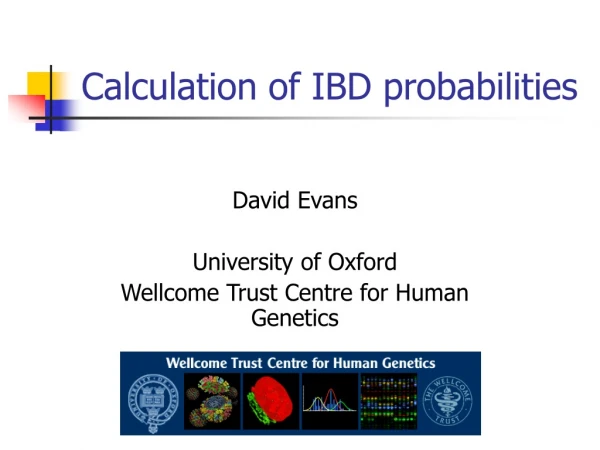 Calculation of IBD probabilities