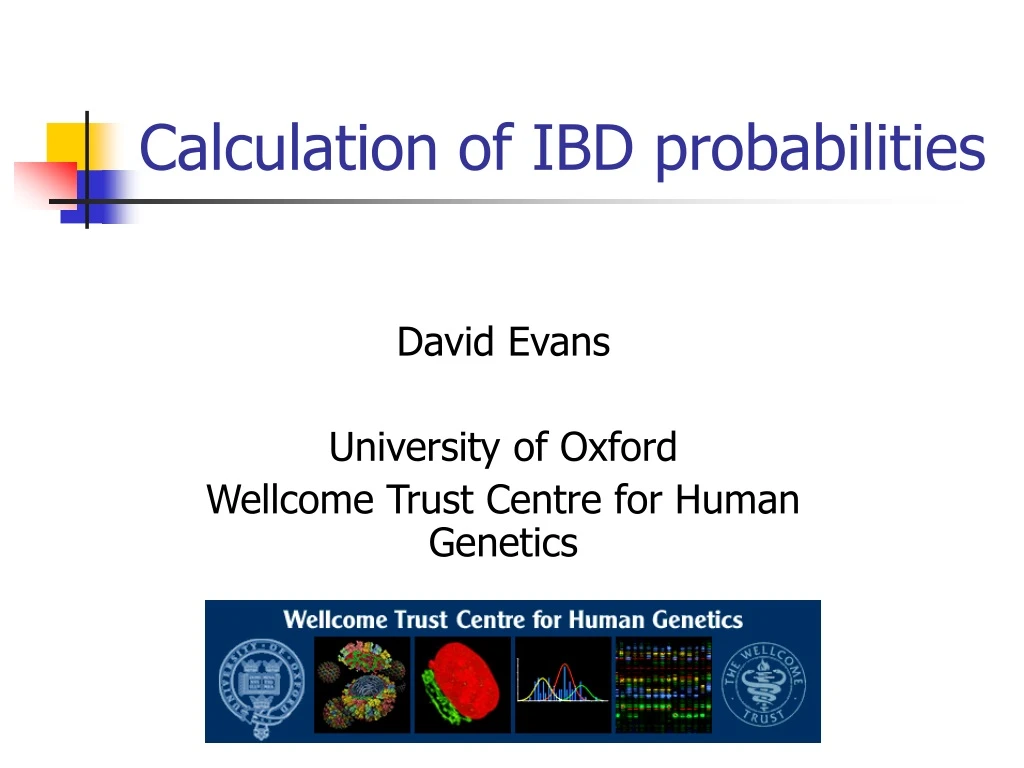 calculation of ibd probabilities